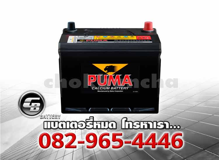 Puma Battery 55D23R SMF