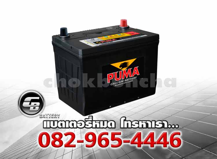Puma Battery 55D23R SMF