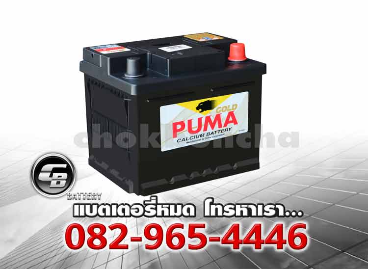Battery Puma DIN45 SMF