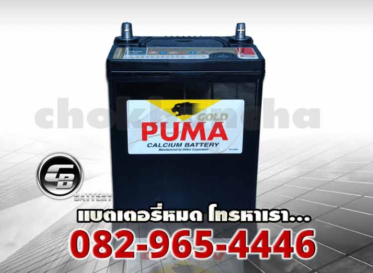 Puma Battery 42B19L SMF