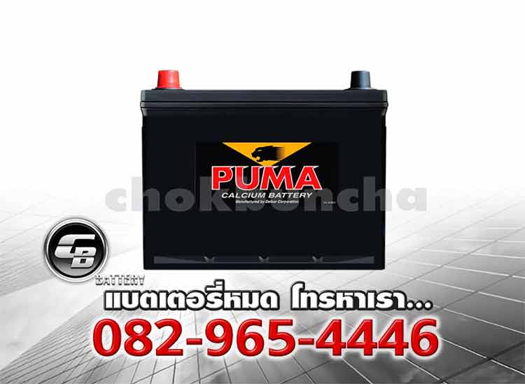 Puma Battery 55D23L SMF